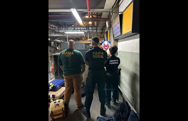 Thunder 2023 Operation involved multiple stakeholders such as customs, police, border control, environment, wildlife and forestry officials in 133 countries who worked together (Photo: Courtesy of Brazil Customs).