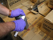 International Day against Drug Abuse and Illicit Trafficking